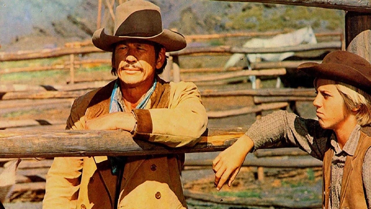 Backdrop – Wilde Pferde