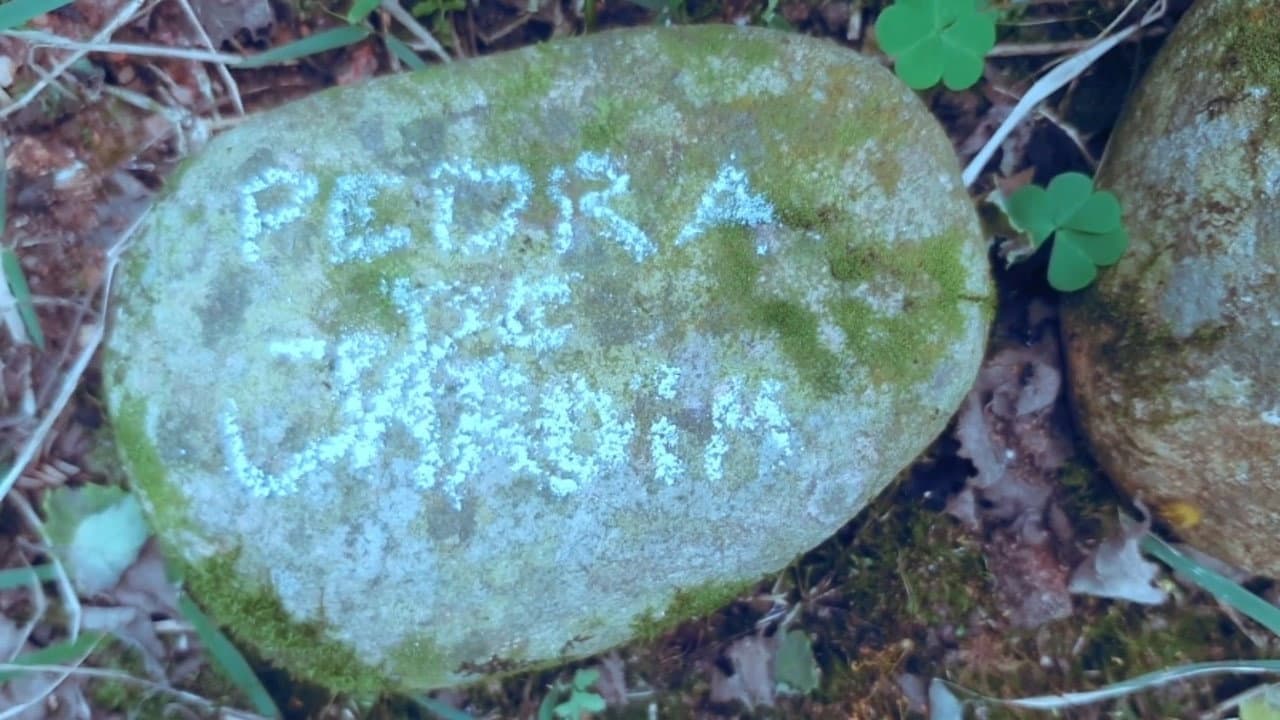 Backdrop – pedra de jardim