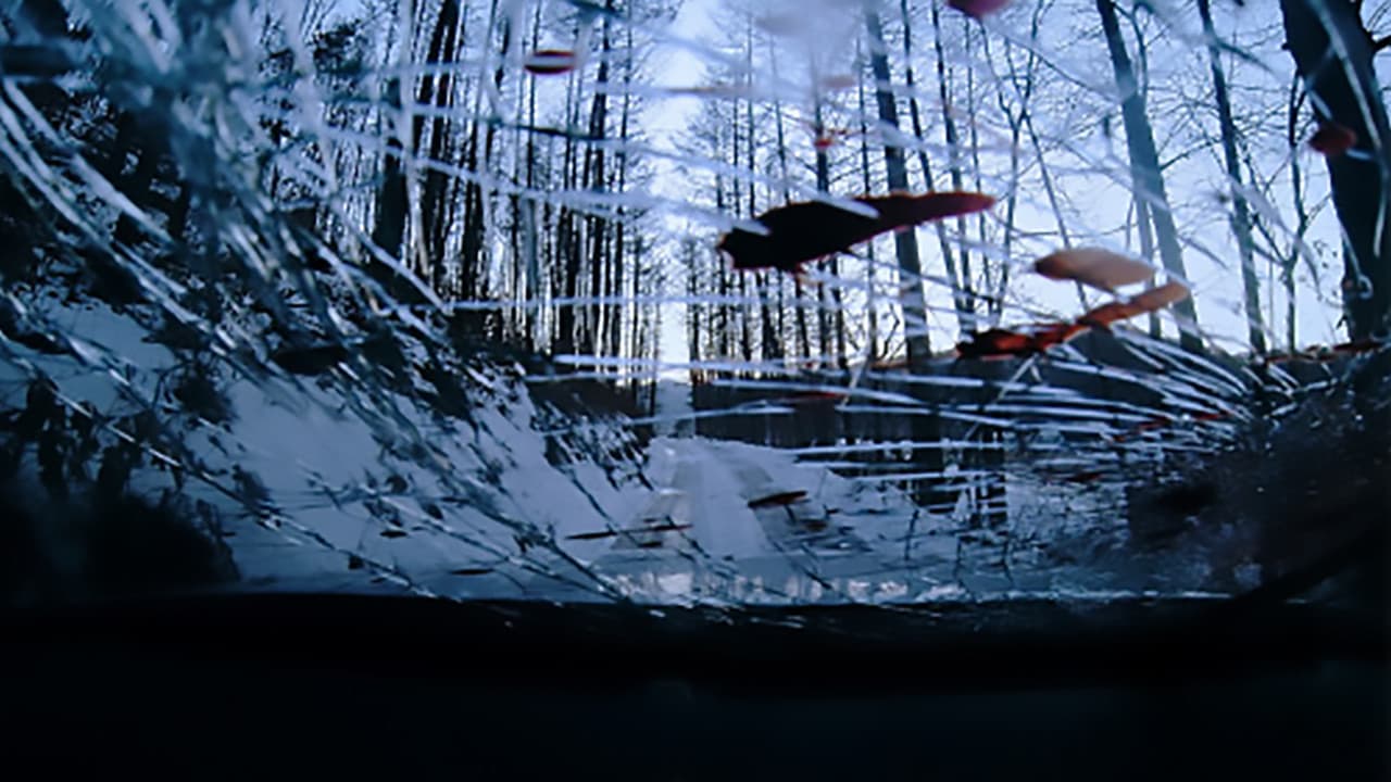 Backdrop – 야누스