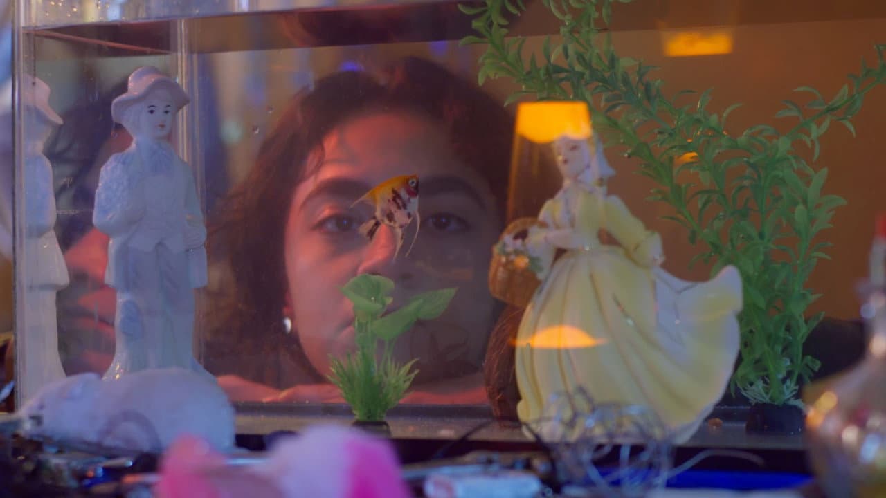 Backdrop – Cabeza de pez