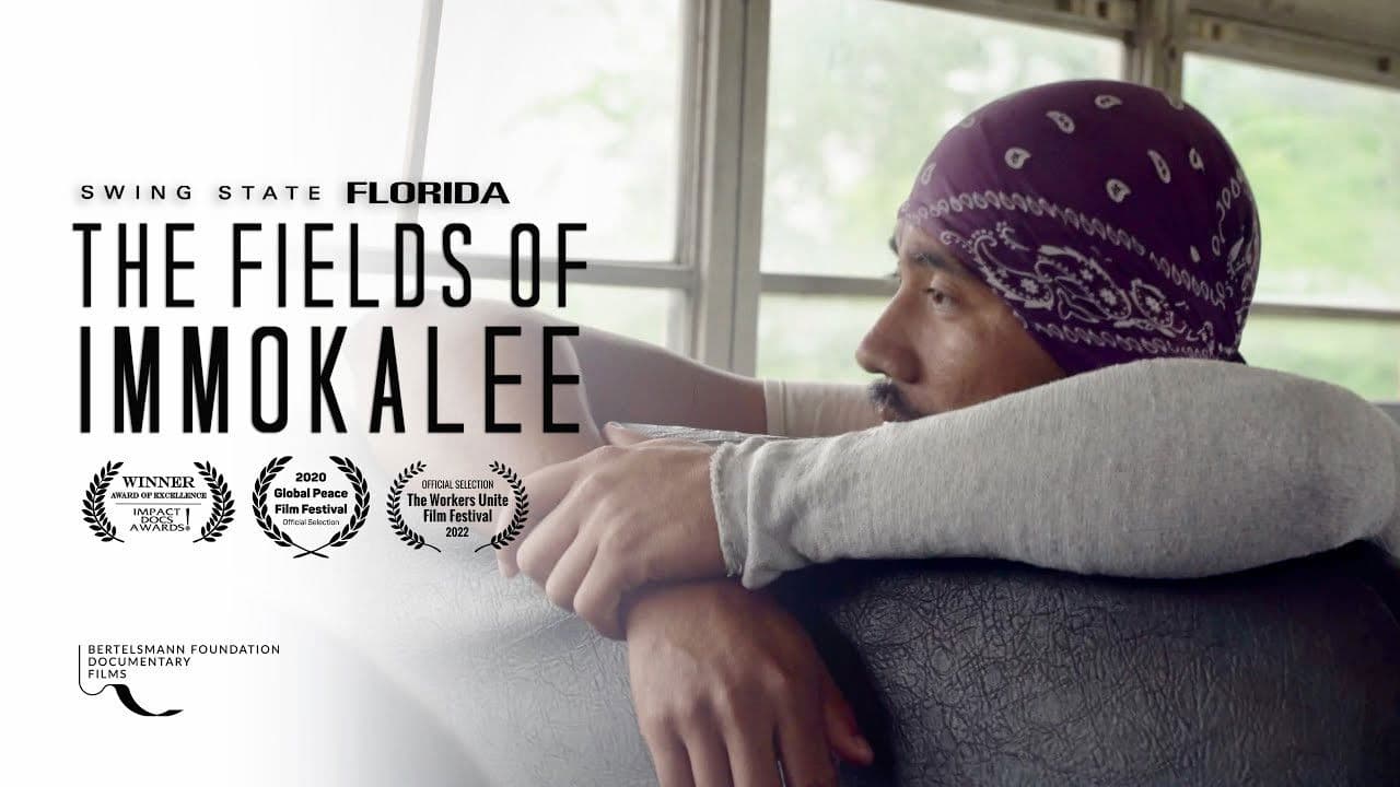 Backdrop – The Fields of Immokalee