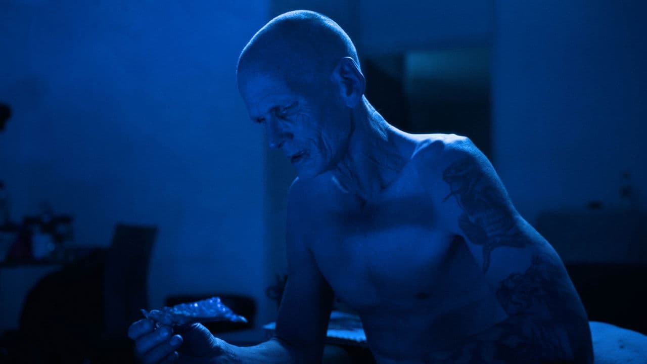 Backdrop – Paradise Morbid