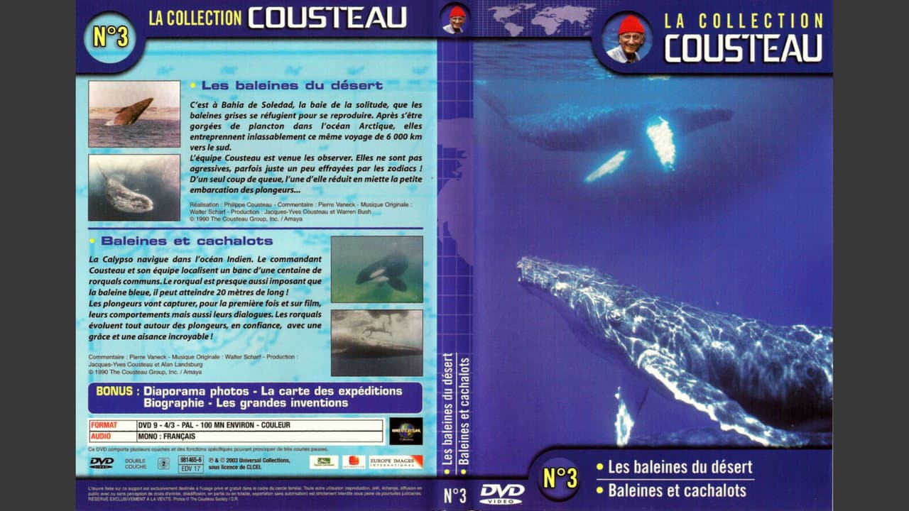 Backdrop – La collection Cousteau N°3 | Les baleines du désert | Baleines et cachalots