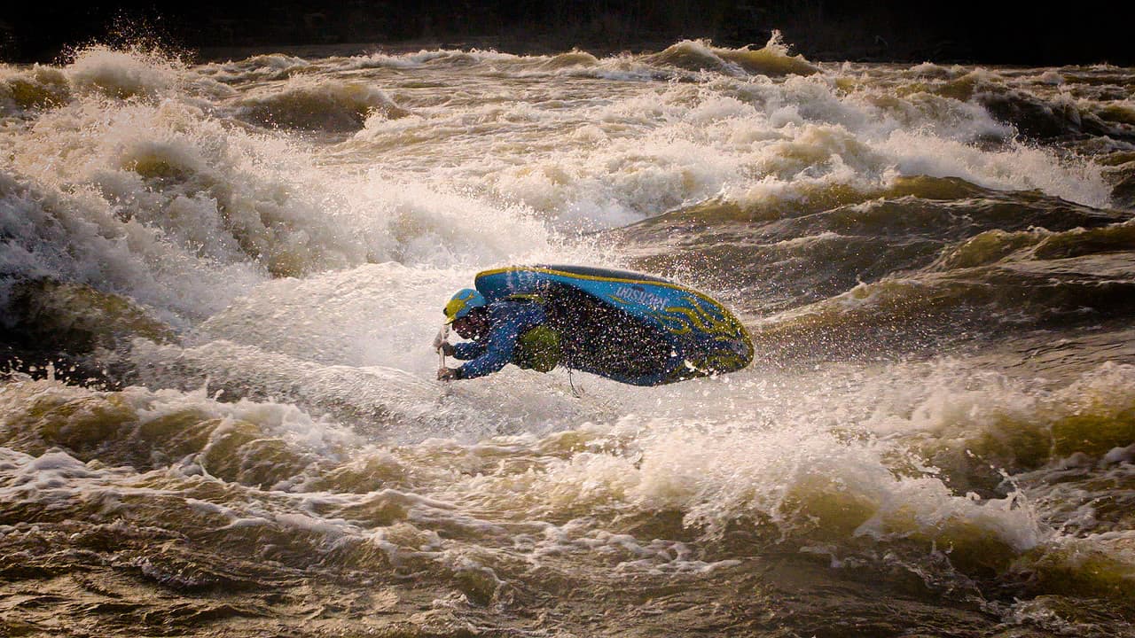 Backdrop – The Wintering Grounds