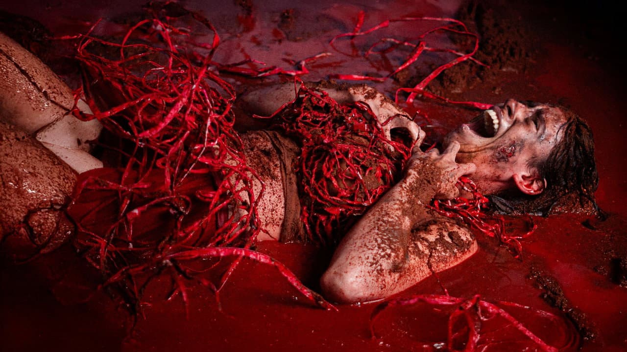 Backdrop – El Cuerpo de Lili