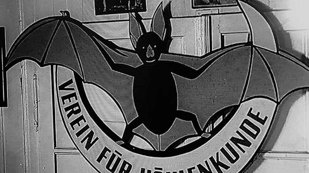 Backdrop – Cave Explorers