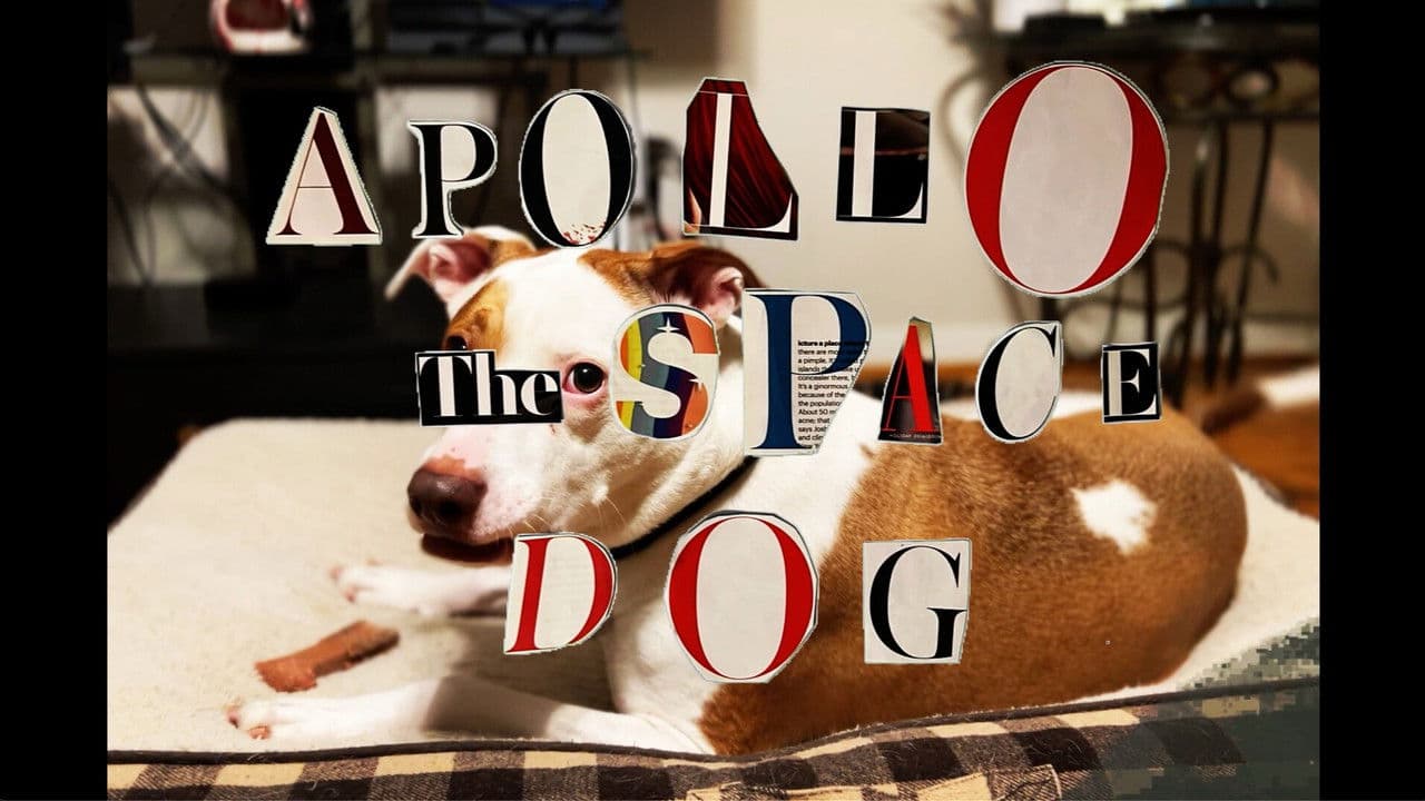 Backdrop – Apollo: The Space Dog
