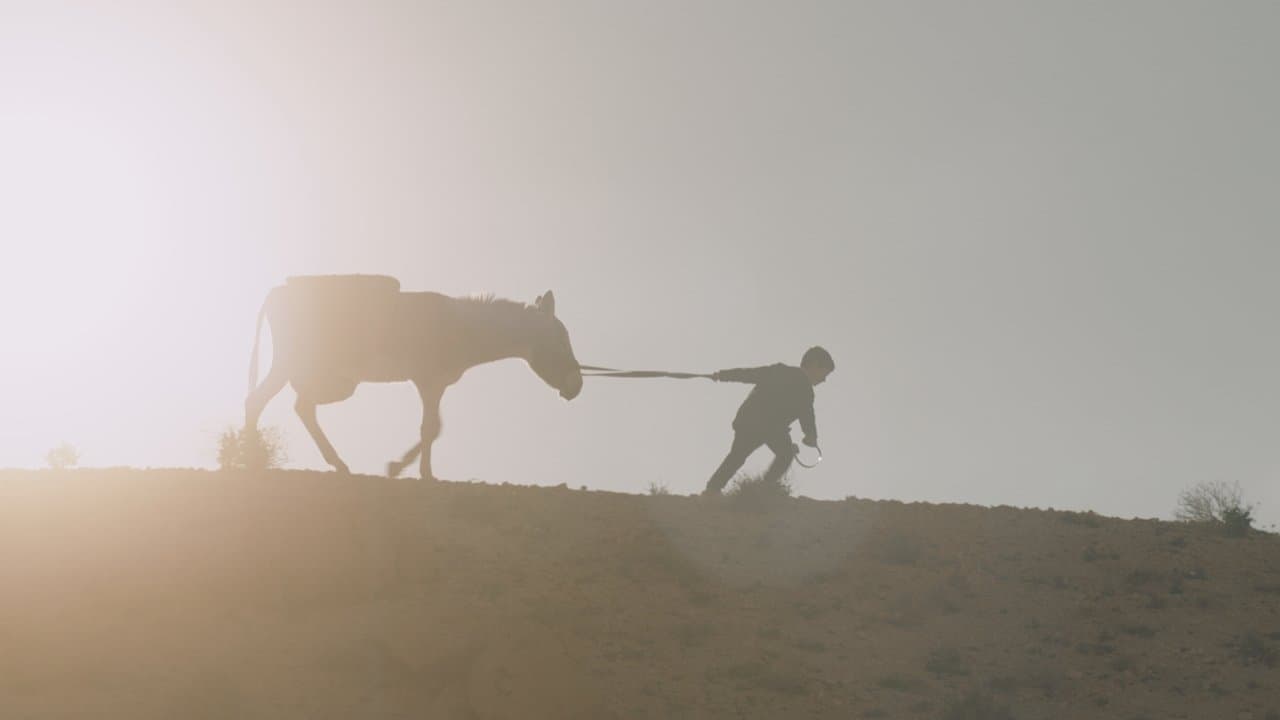 Backdrop – Nefta Football Club