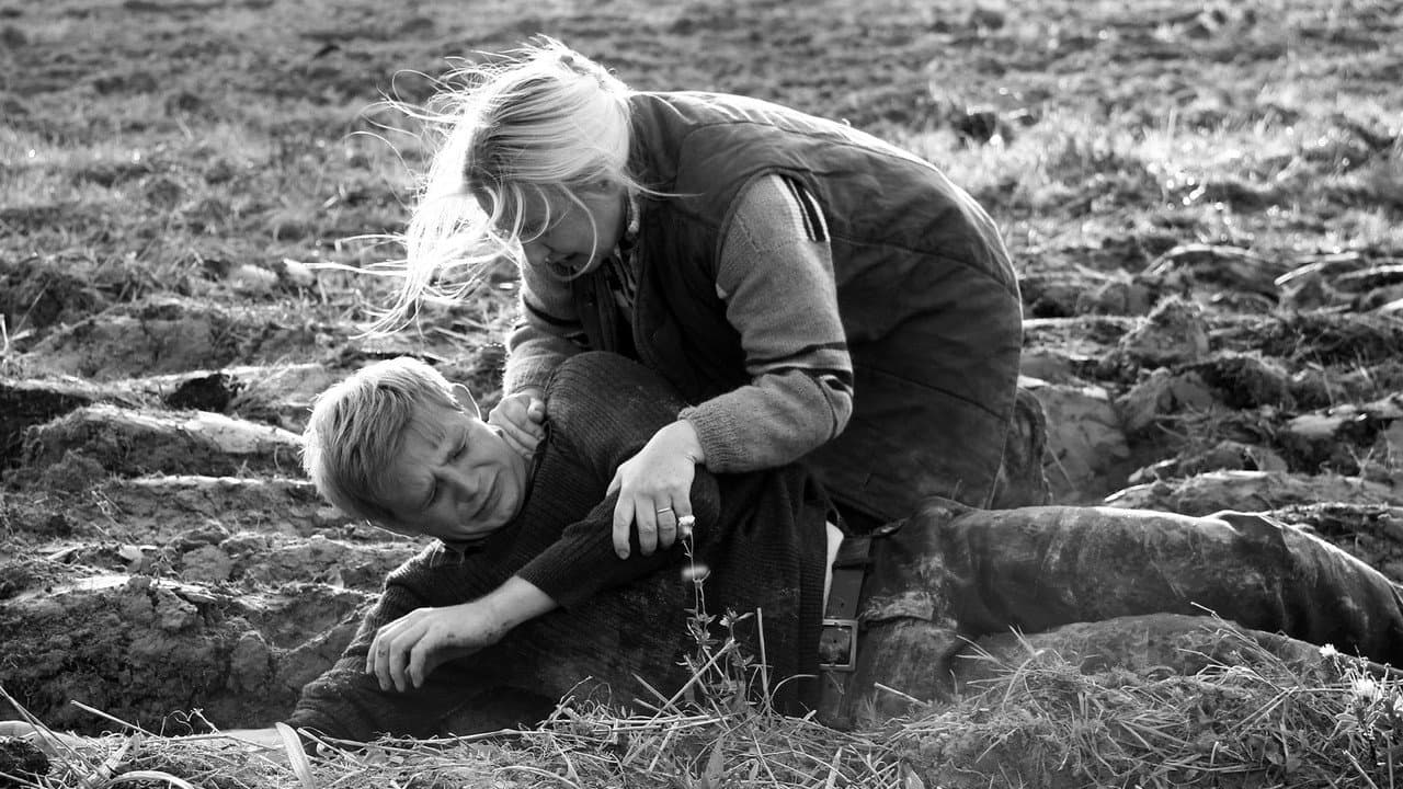 Backdrop – Księstwo