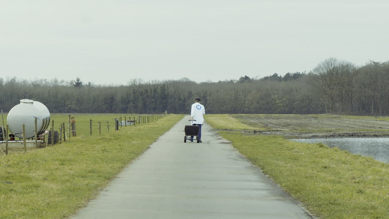 Backdrop – Melkman