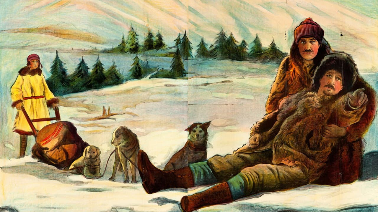 Backdrop – North of Nome