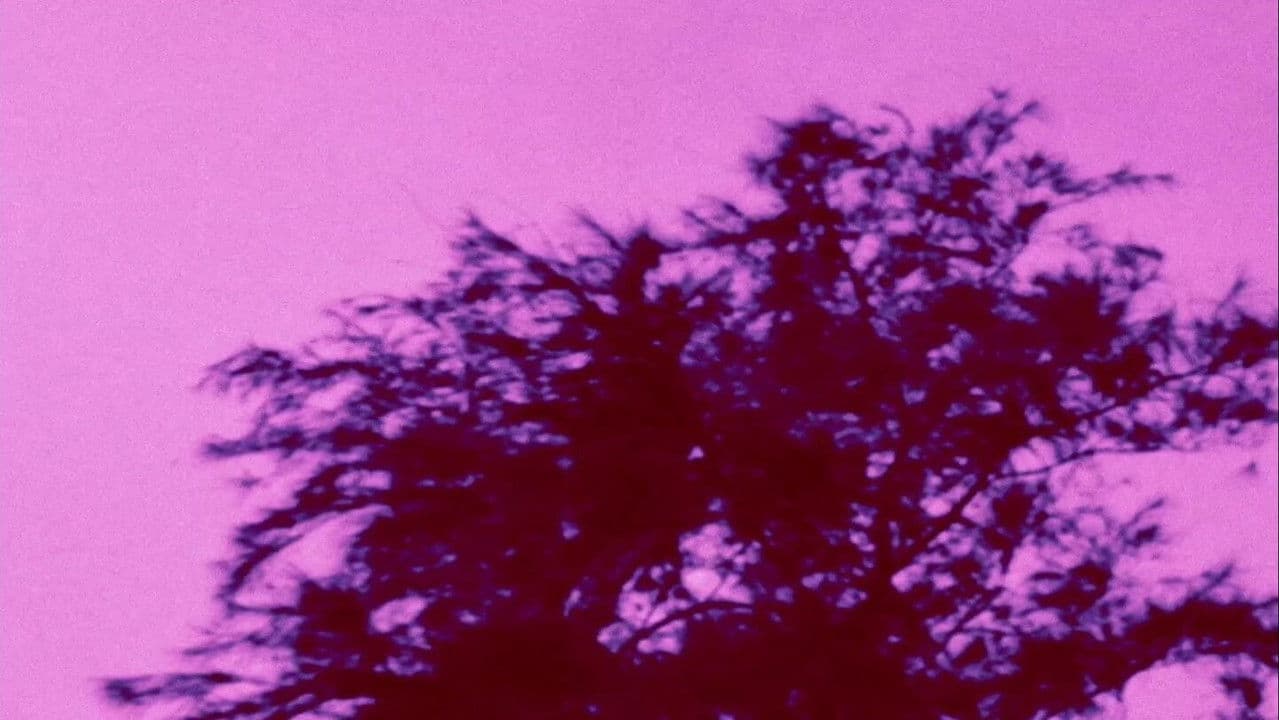 Backdrop – Aetheria