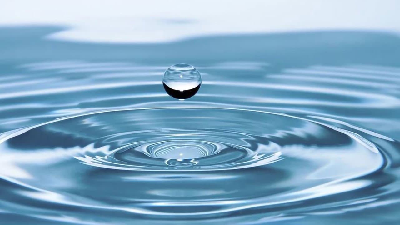 Backdrop – Wasser - Im Visier der Finanzhaie