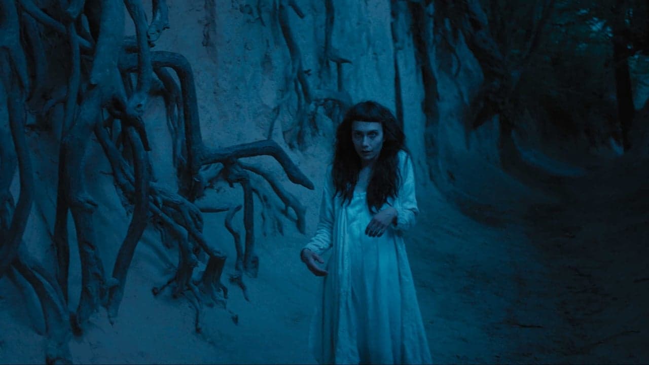 Backdrop – The Field Guide to Evil