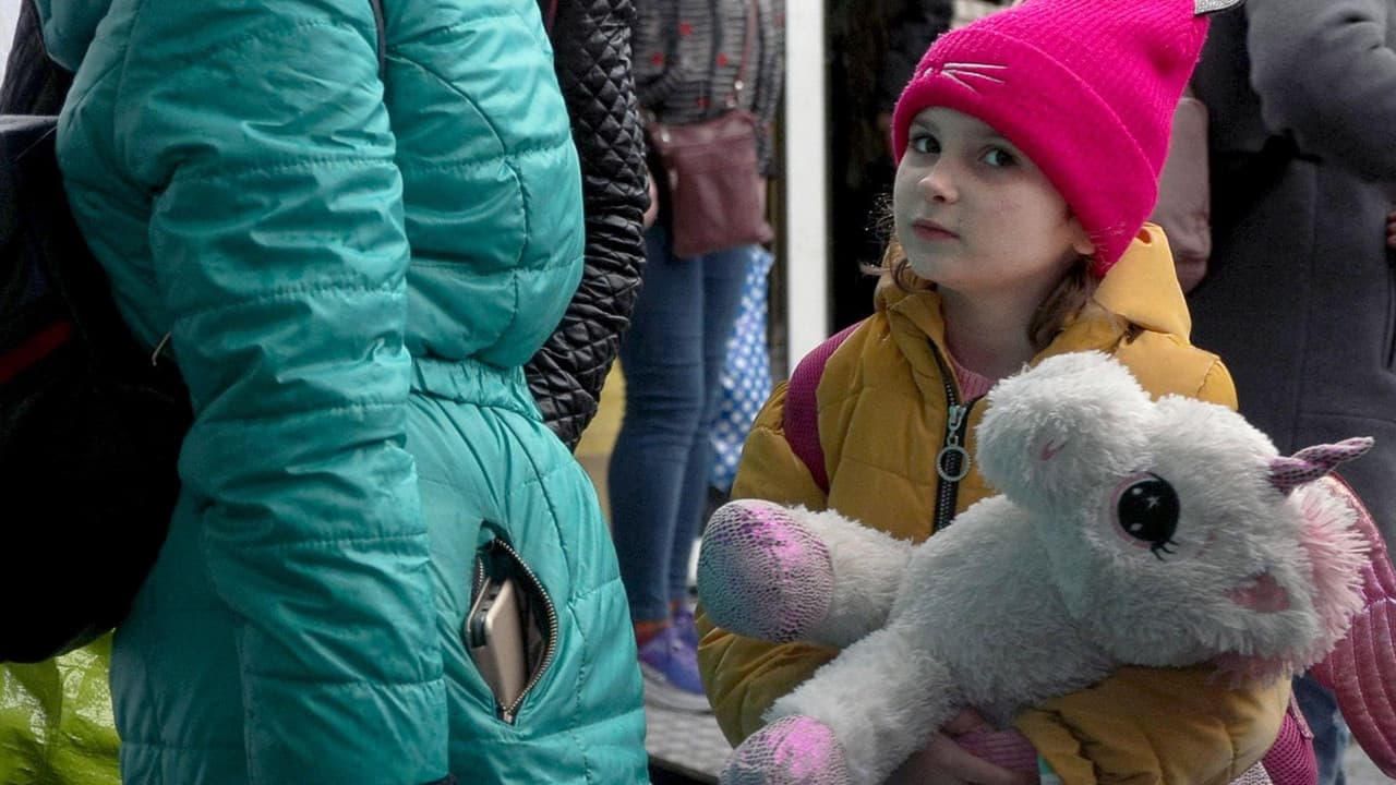 Backdrop – Ukraine-Polen: Die Grenze der Solidarität