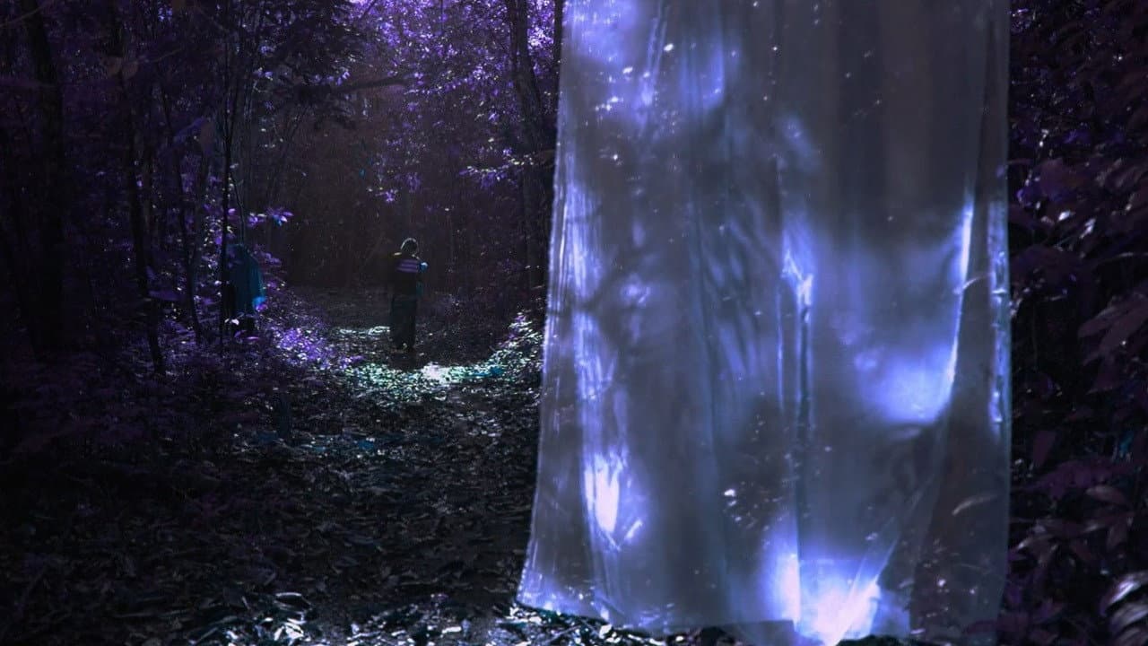 Backdrop – Mandinga