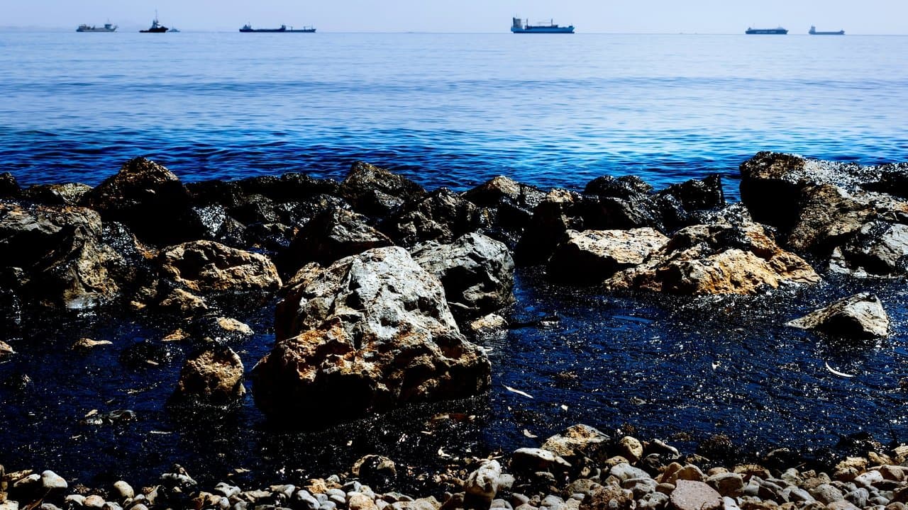 Backdrop – Amoco Cadiz: Ölkatastrophe des Jahrhunderts