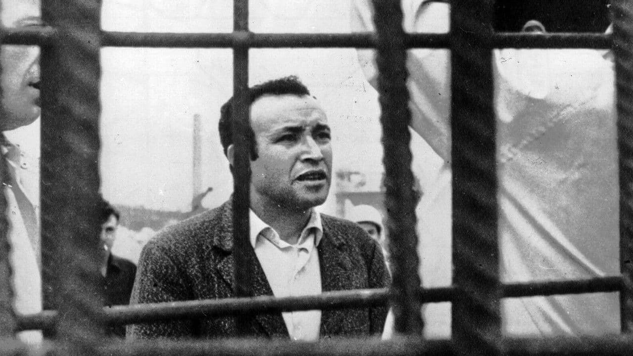 Backdrop – Mektoub