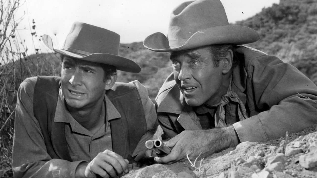 Backdrop – Der Stern des Gesetzes