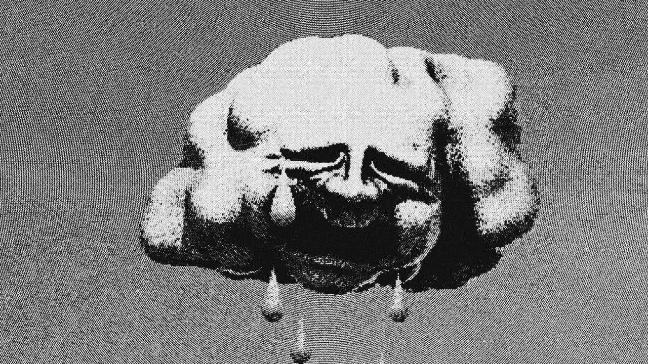 Backdrop – CHOKE ECHO