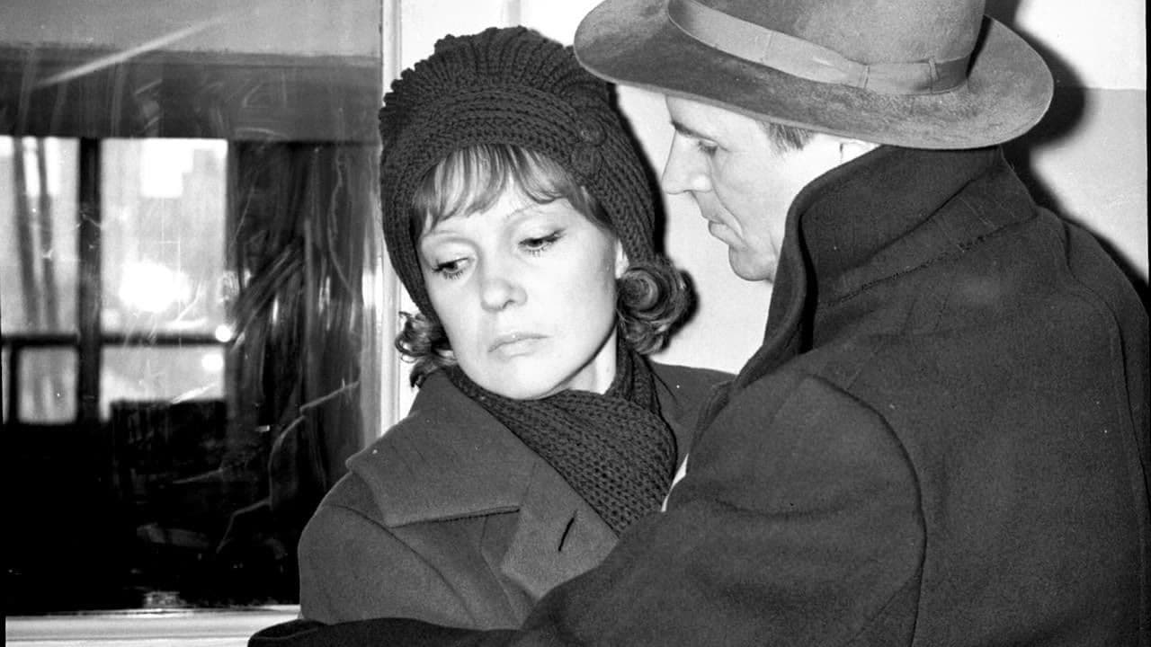 Backdrop – Пять вечеров