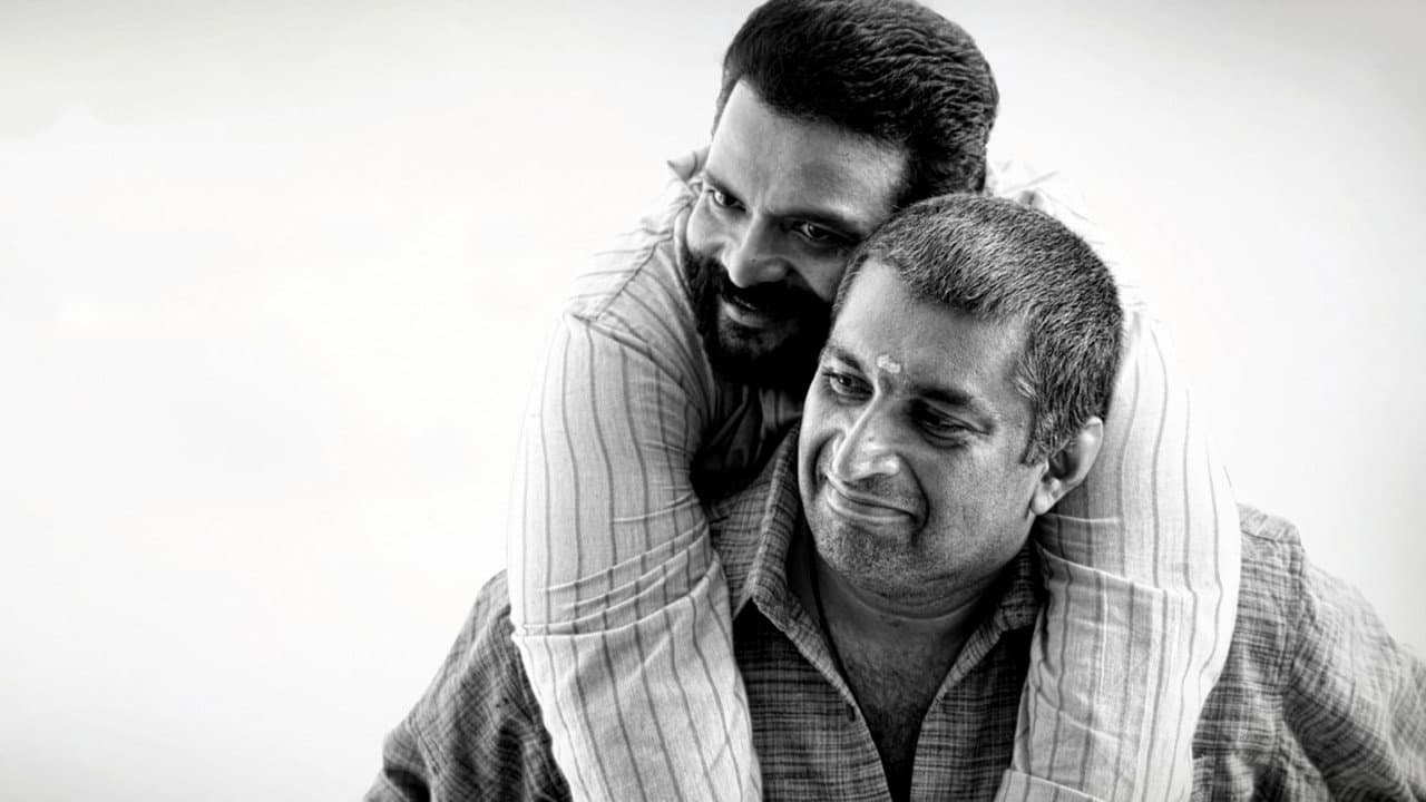 Backdrop – ബ്യൂട്ടിഫുൾ