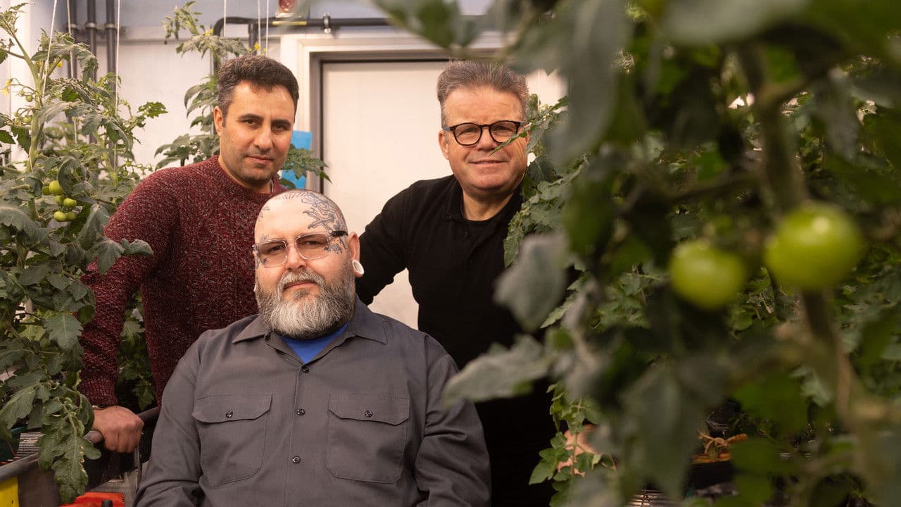 Backdrop – The Catastrophe Garden