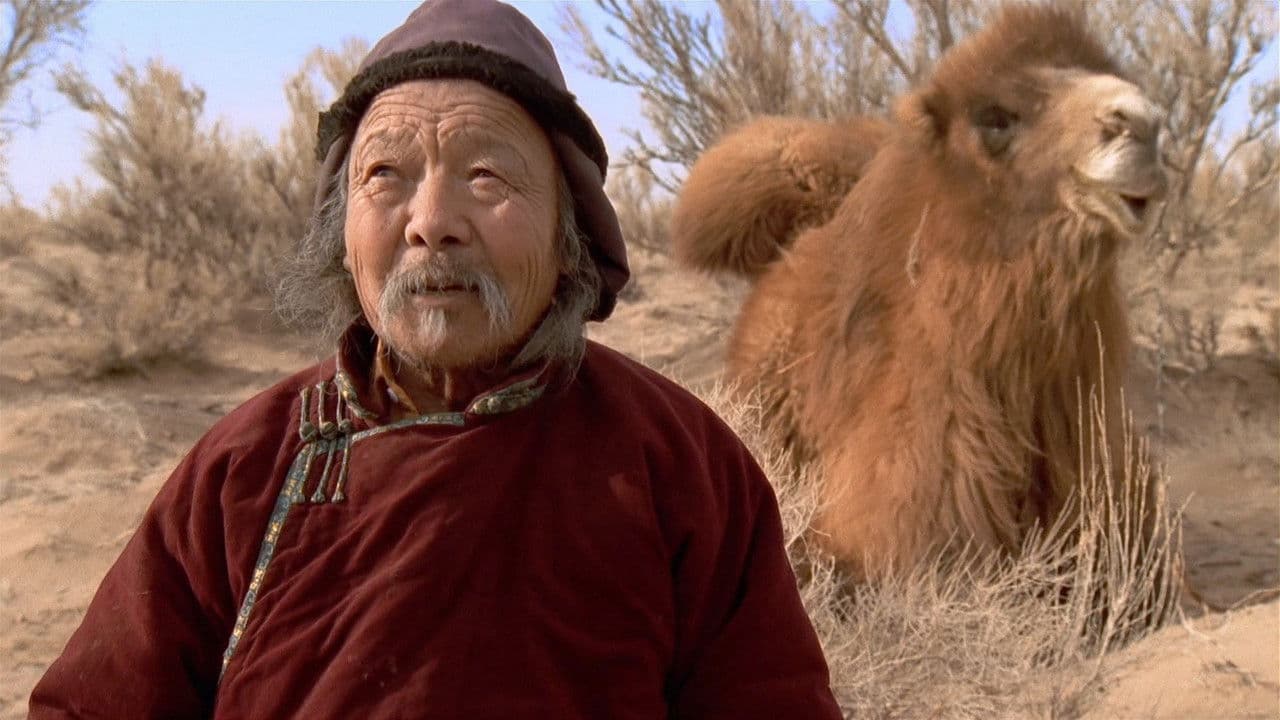 Backdrop – Die Geschichte vom weinenden Kamel