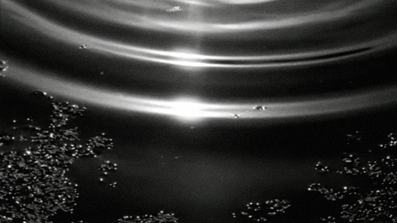 Backdrop – Panta Rhei