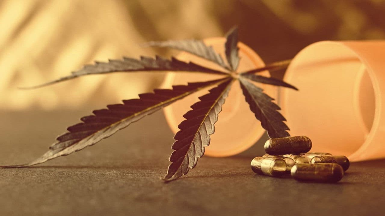 Backdrop – Cannabis: Prescription Pot Luck?