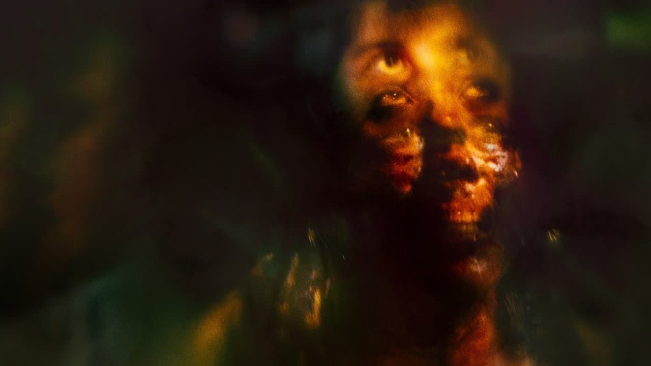 Backdrop – MadS - Im Rausch der Nacht