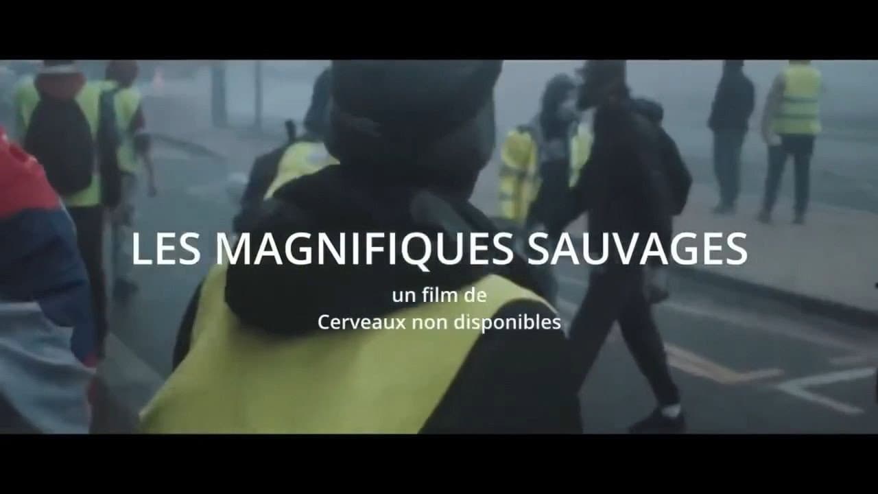 Backdrop – Les Magnifiques sauvages