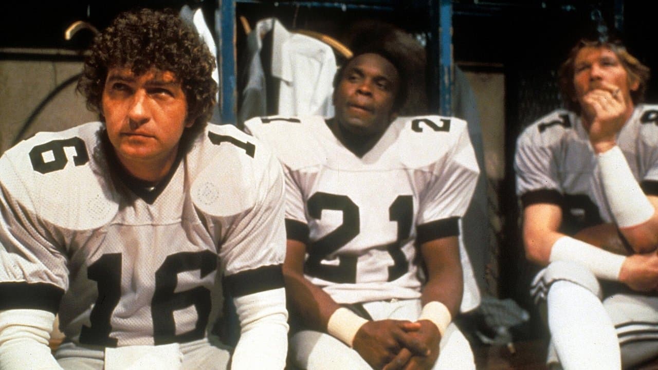 Backdrop – Die Bullen von Dallas