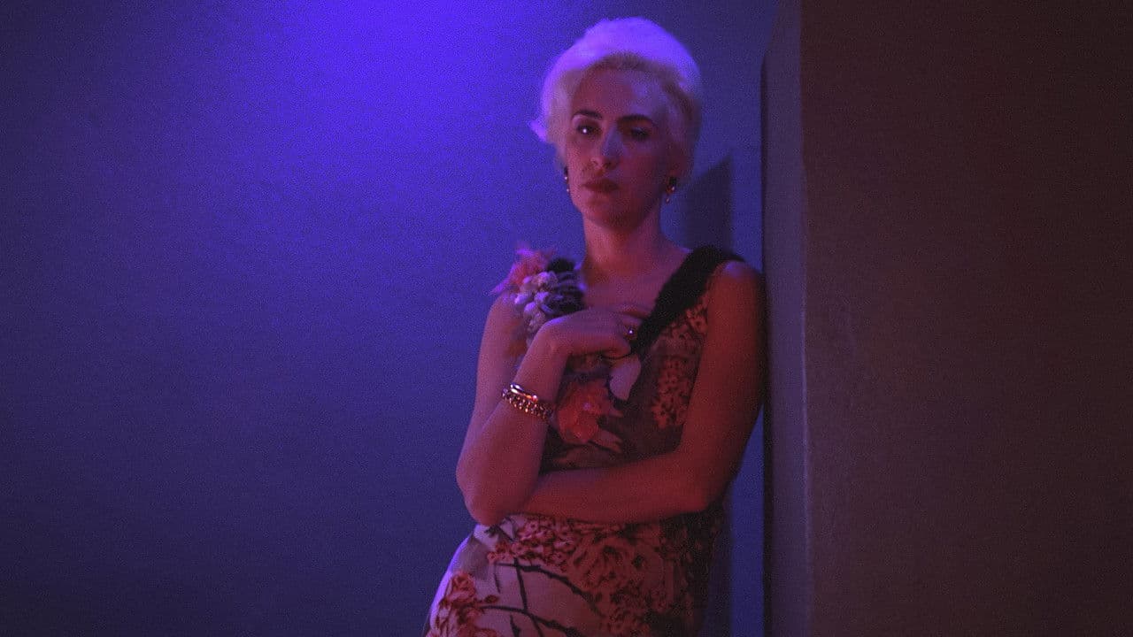 Backdrop – Noite Escura