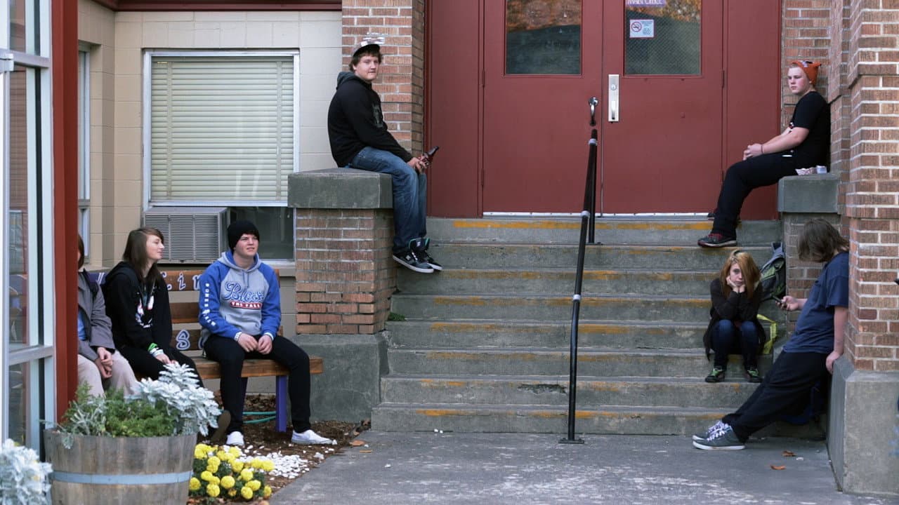 Backdrop – Paper Tigers