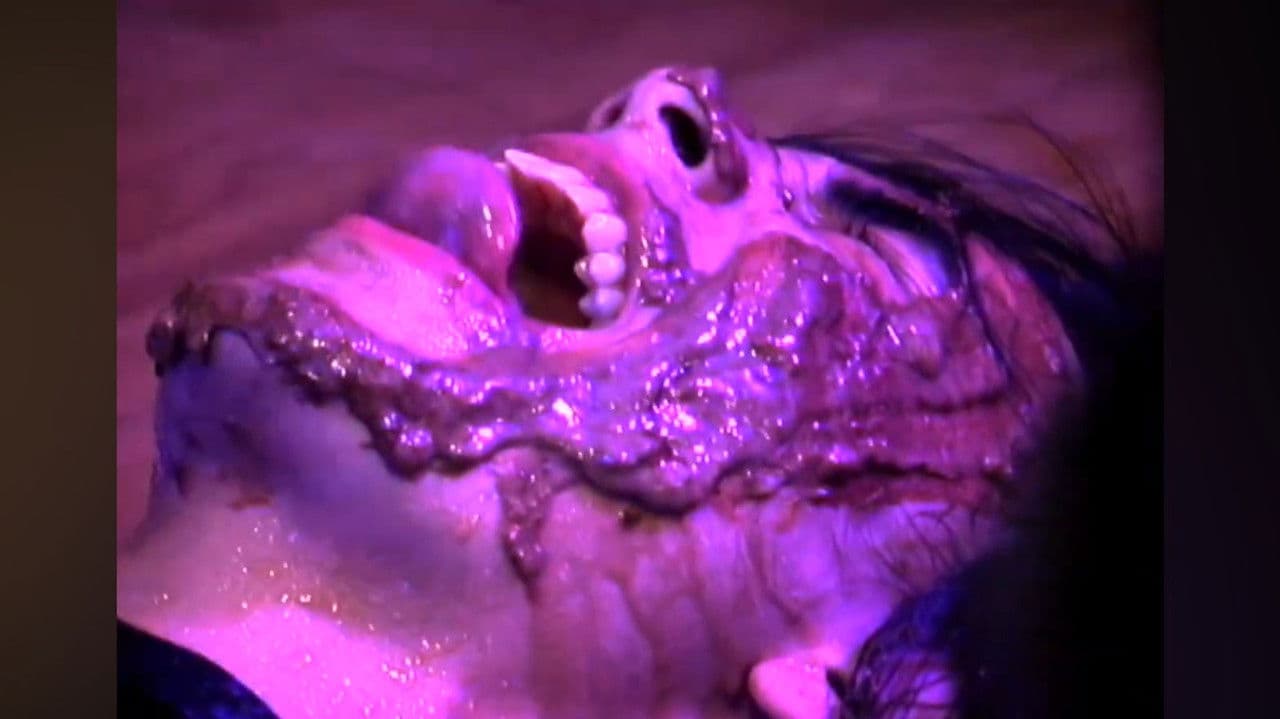 Backdrop – Kiss Me Again