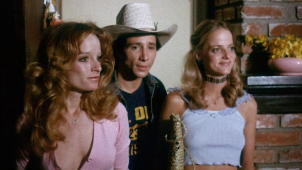 Backdrop – The Great Texas Dynamite Chase