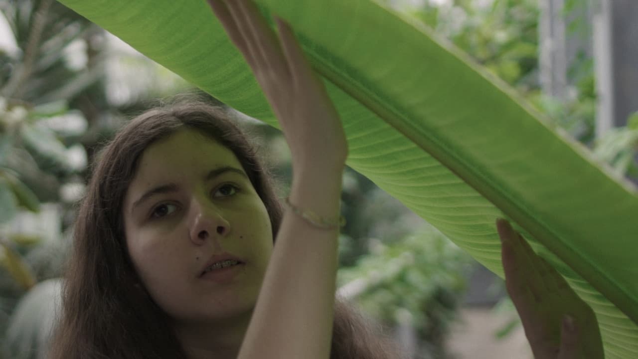 Backdrop – Tudi jaz vidim