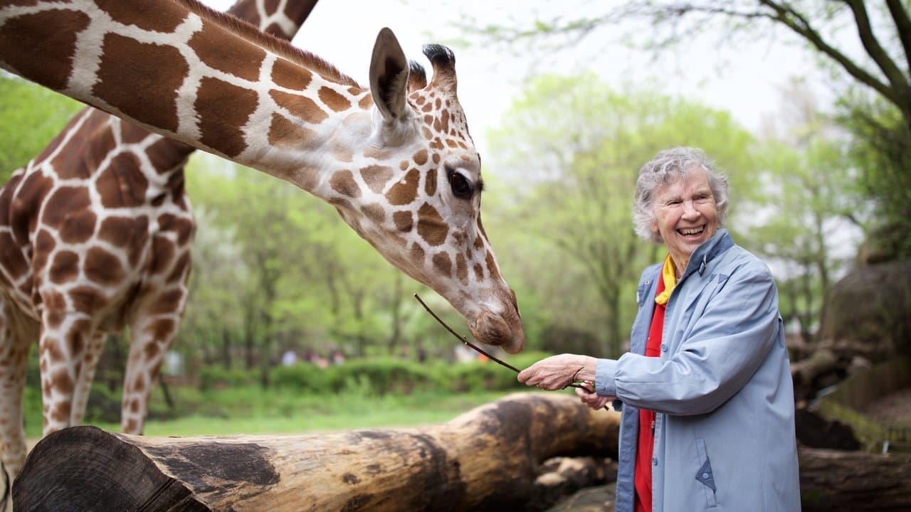 Backdrop – The Woman Who Loves Giraffes