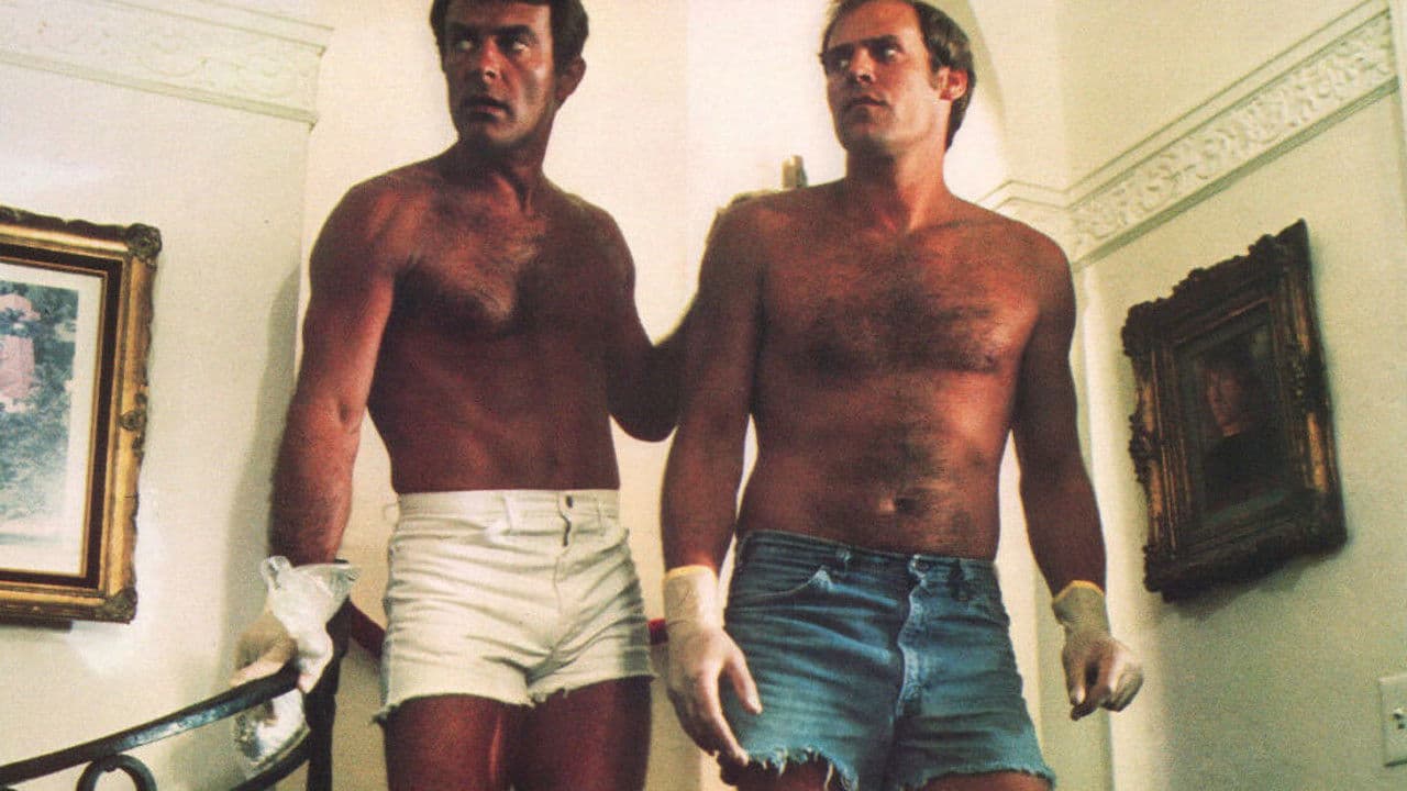 Backdrop – Murph the Surf