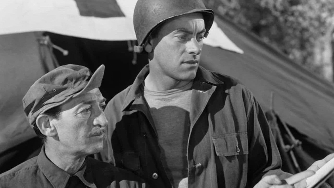 Backdrop – Combat Squad