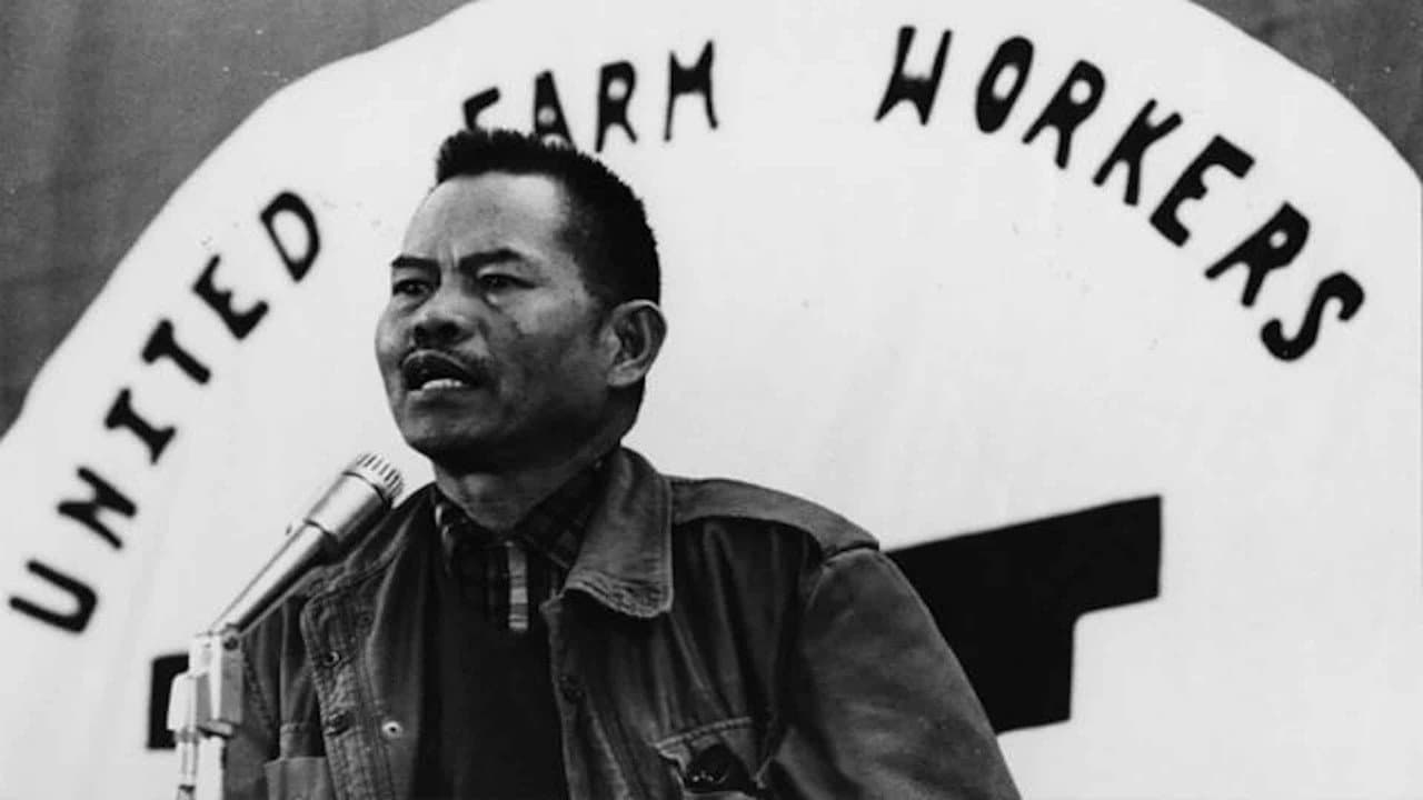 Backdrop – The Delano Manongs: Forgotten Heroes Of The United Farm Workers Movement