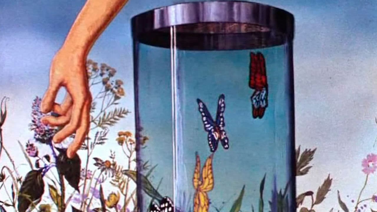 Backdrop – Бабочка