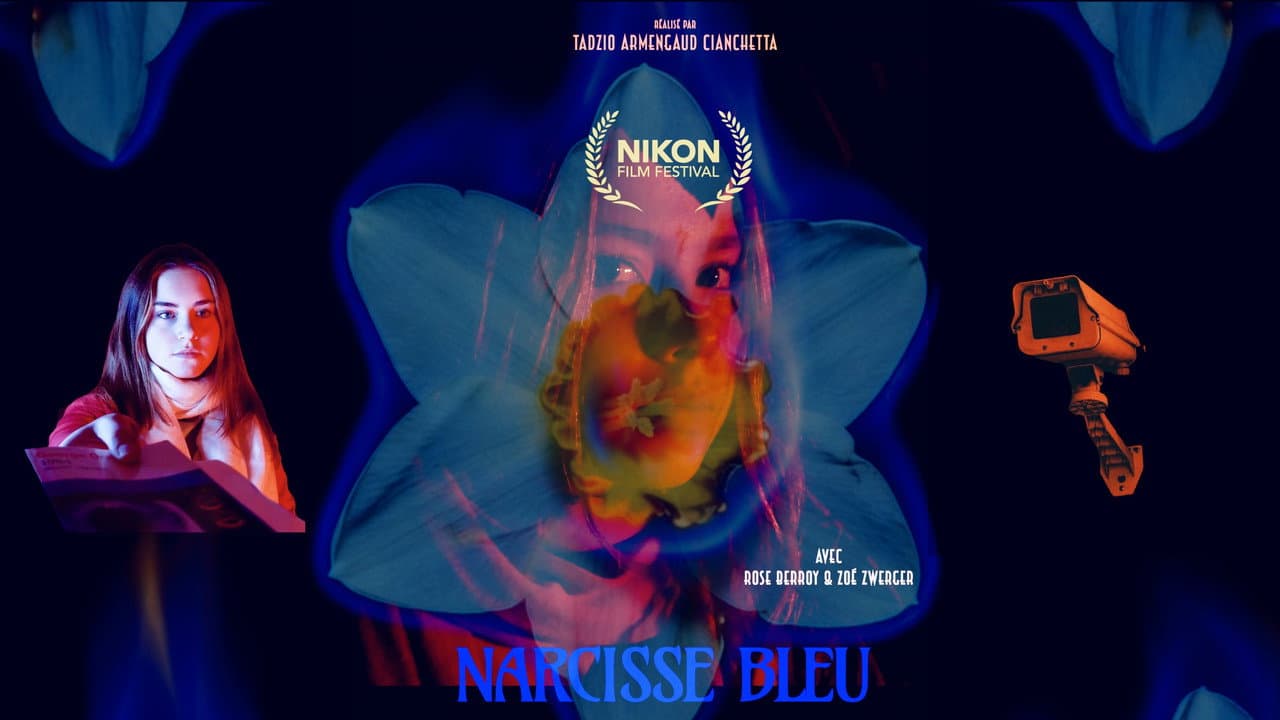 Backdrop – Narcisse bleu