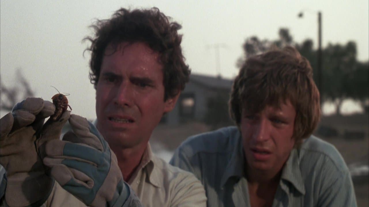 Backdrop – Feuerkäfer