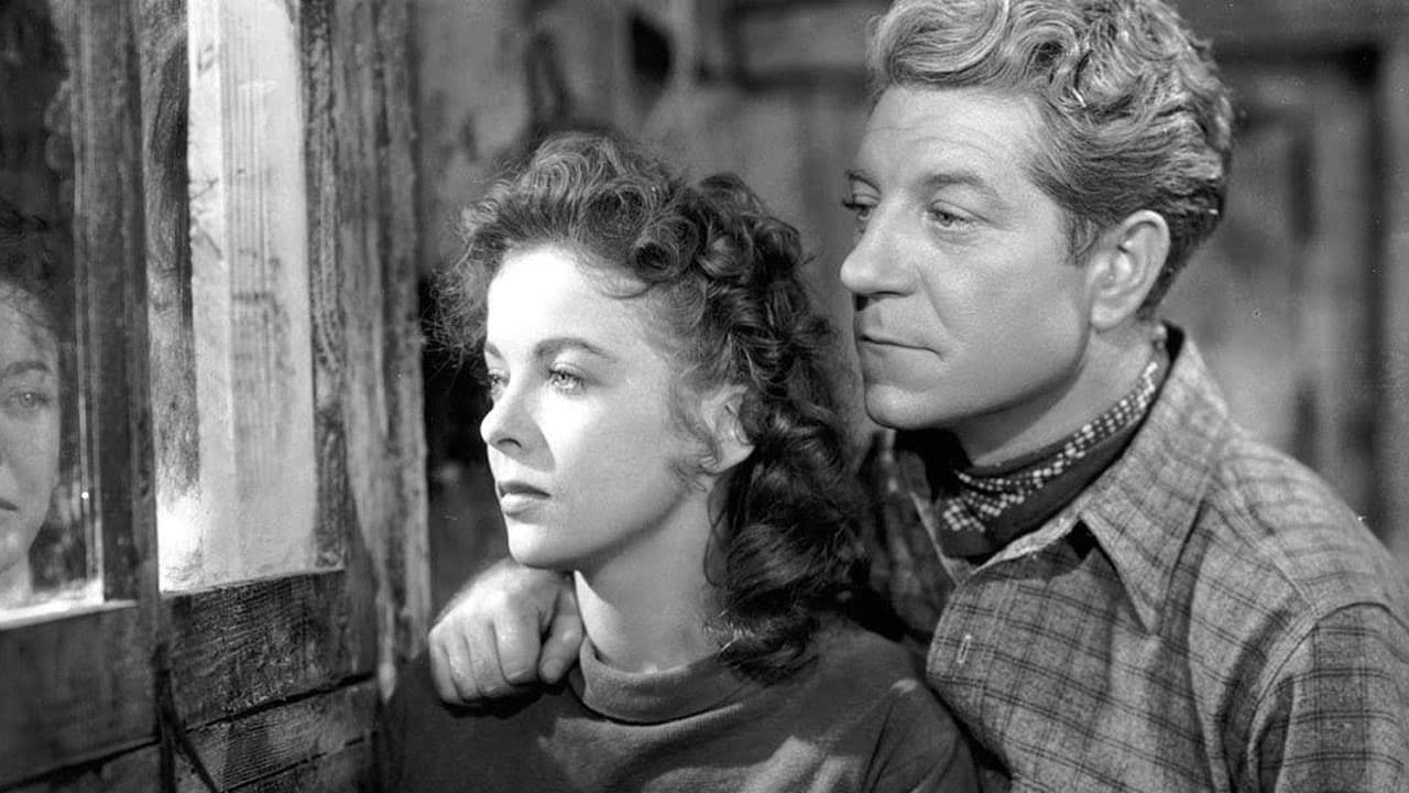 Backdrop – Nacht im Hafen