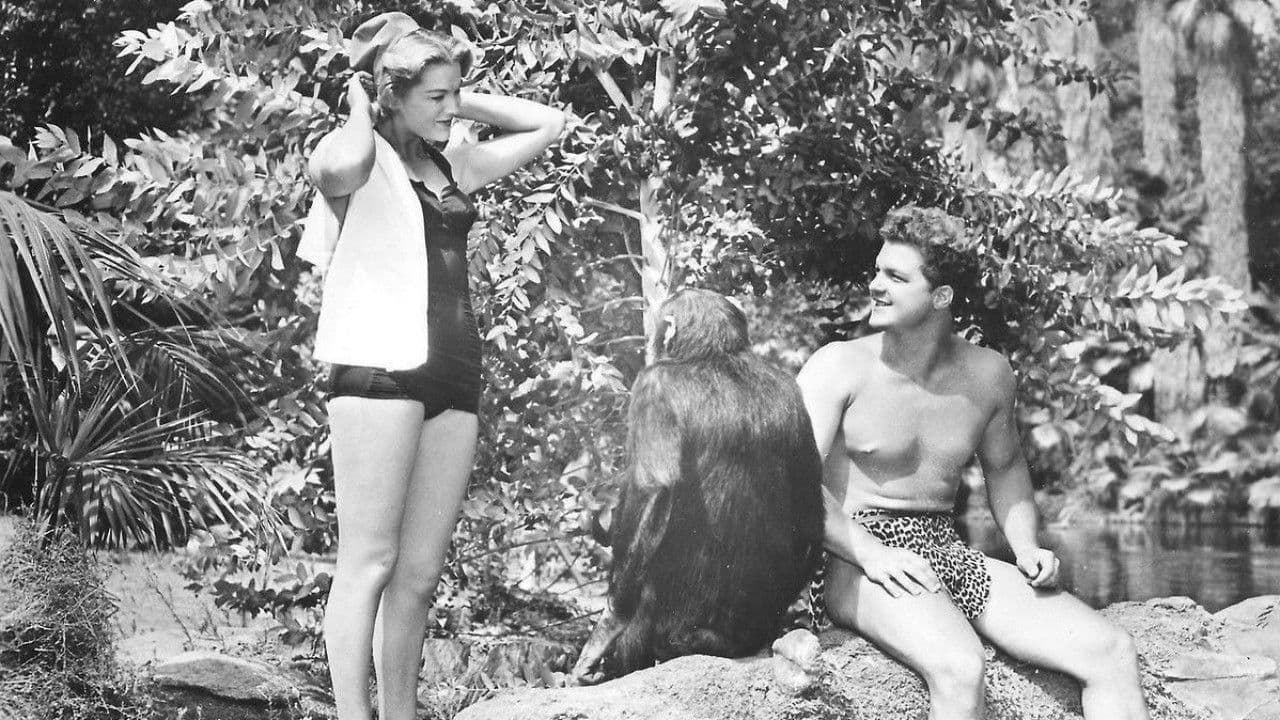 Backdrop – The Golden Idol