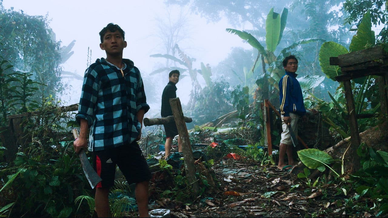 Backdrop – 血琥珀