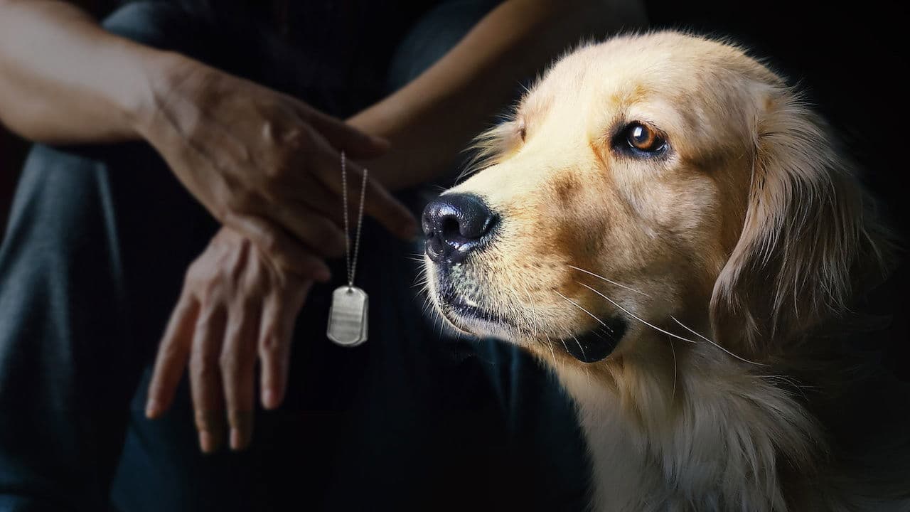 Backdrop – To Be of Service