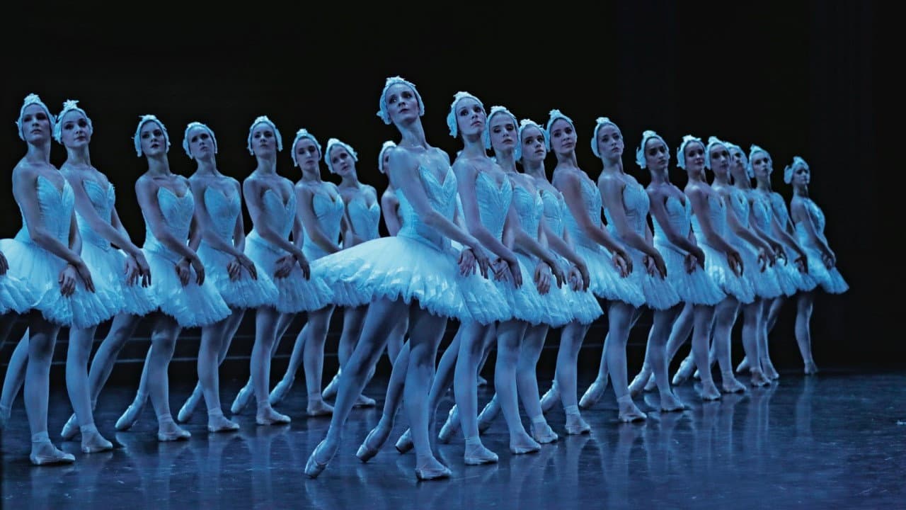 Backdrop – Le lac des cygnes au théâtre national de Chaillot